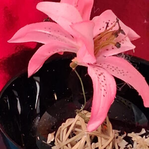 coupe decorative noire en fleurs artificielles