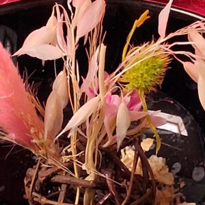 coupe decorative noire en ceramique